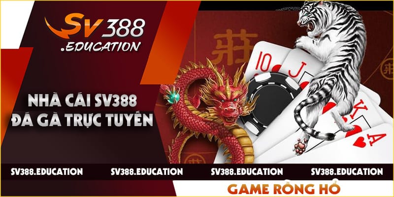 Rổng Hổ - Trải Nghiệm Tựa Game Hot Đỉnh Cao Nhất 2024