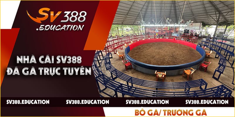 Trường Gà Savan - Nơi Thỏa Sức Sống Cùng Đam Mê 2024